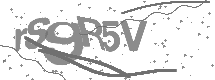 visual captcha